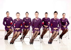 提升服務(wù)質(zhì)量 軟件開(kāi)發(fā)領(lǐng)域的服務(wù)禮儀培訓(xùn)